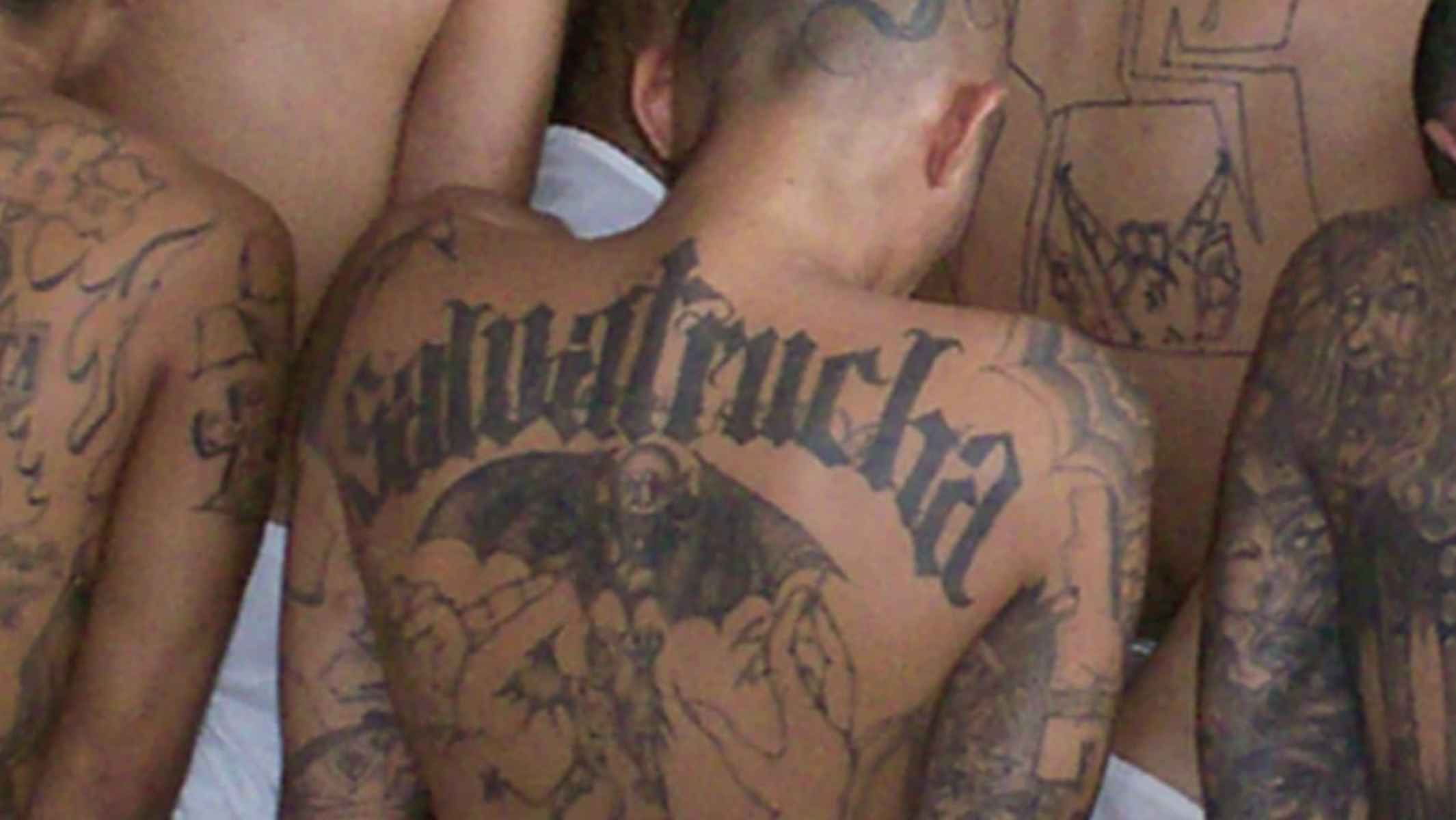Integrantes de la Mara Salvatrucha. Integrantes de la Mara Salvatrucha.