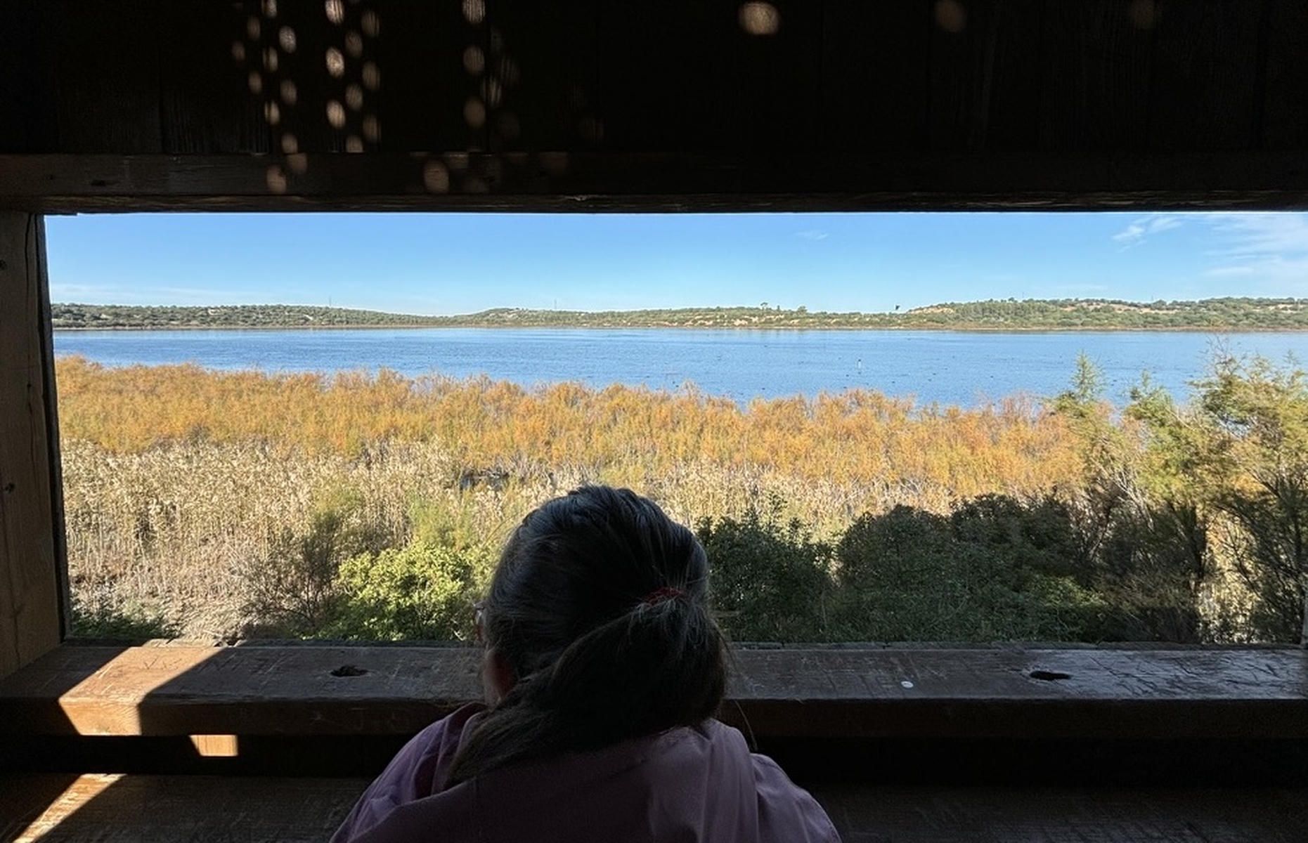 Vista del mirador en la Laguna de Medina, reserva natural en la campiña de Jerez. Vista del mirador en la Laguna de Medina, reserva natural en la campiña de Jerez.