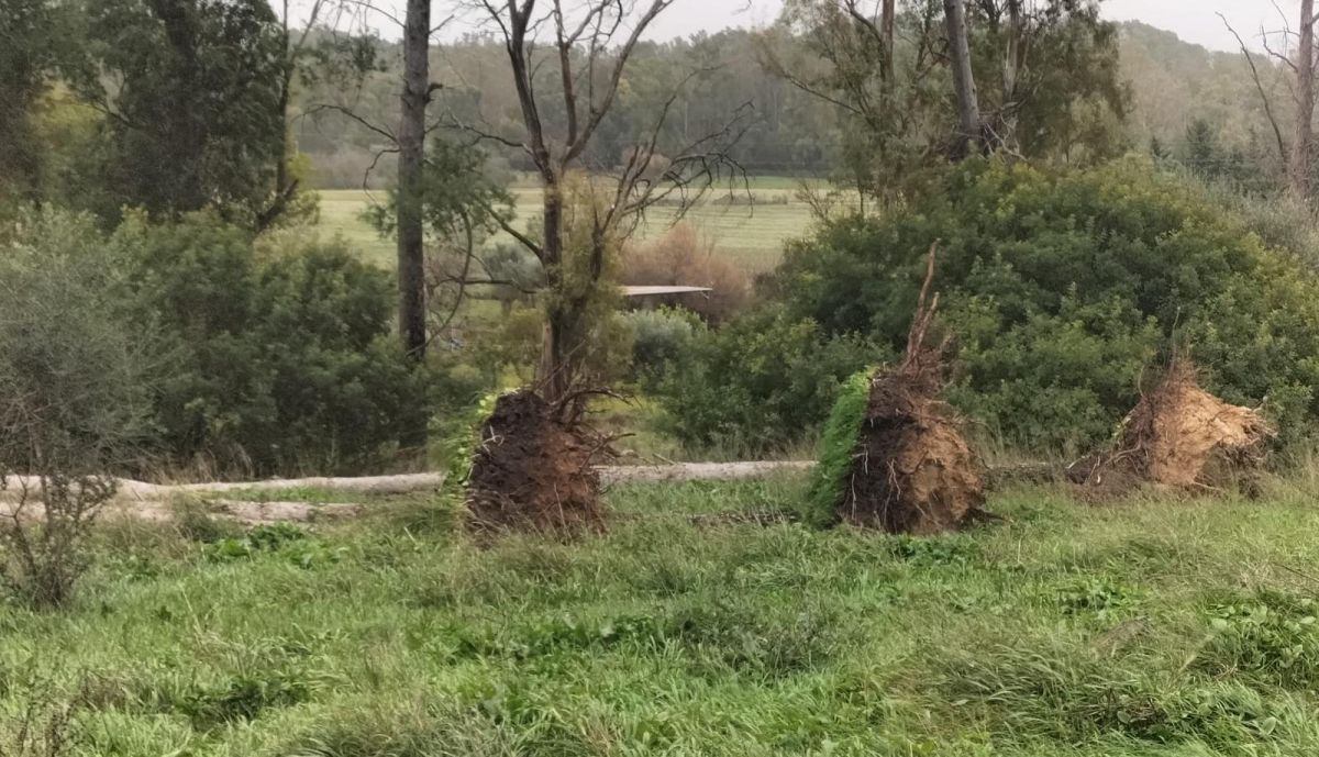 WhatsApp Image 2026 02 18 at 18.09.11 (1)