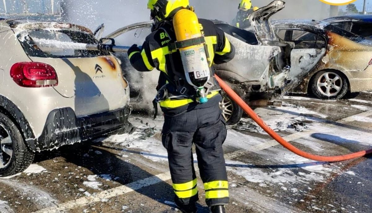 WhatsApp Image 2026 02 18 at 18.24.05