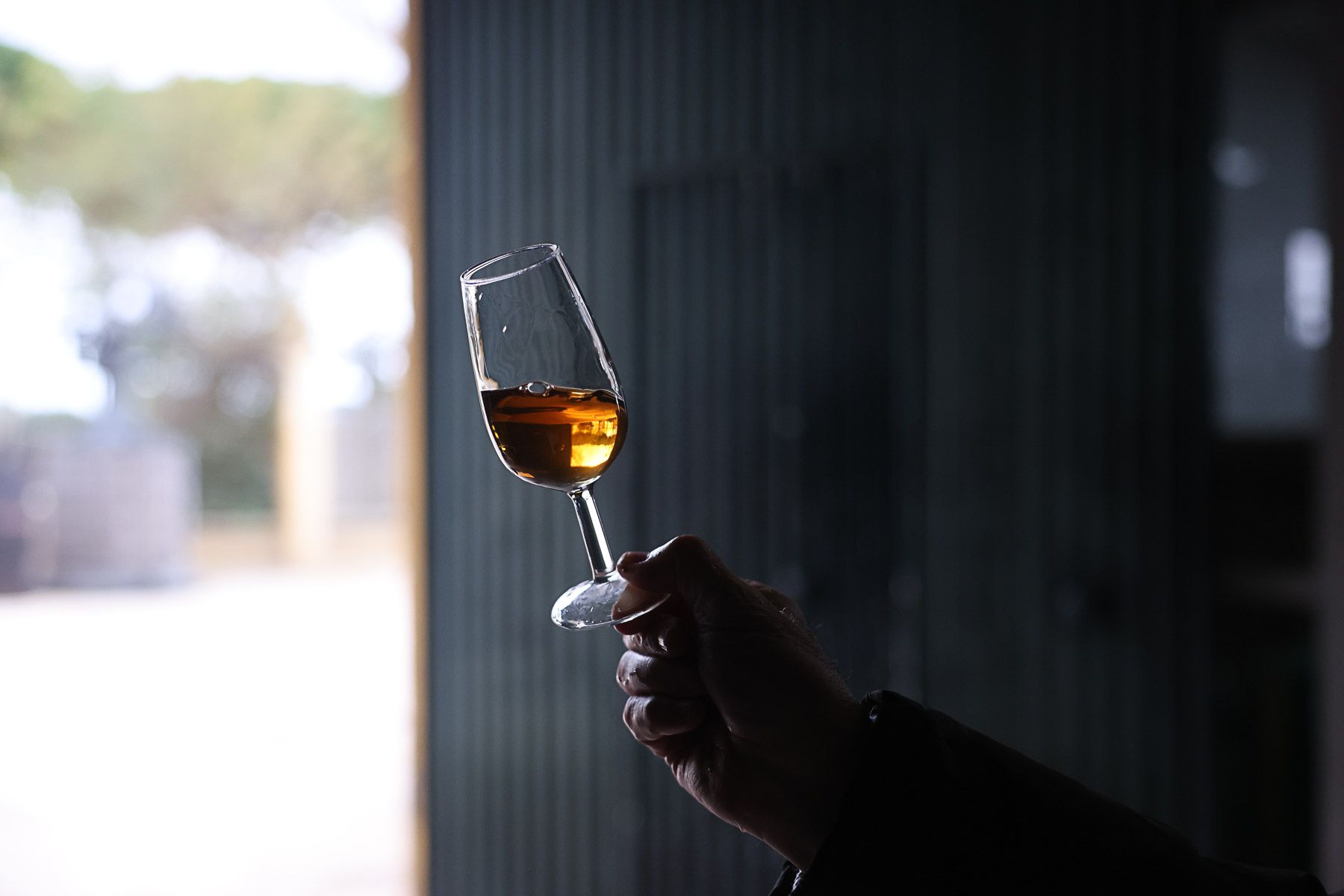 Una copa de vino de Chiclana de las bodegas Manuel Aragón.