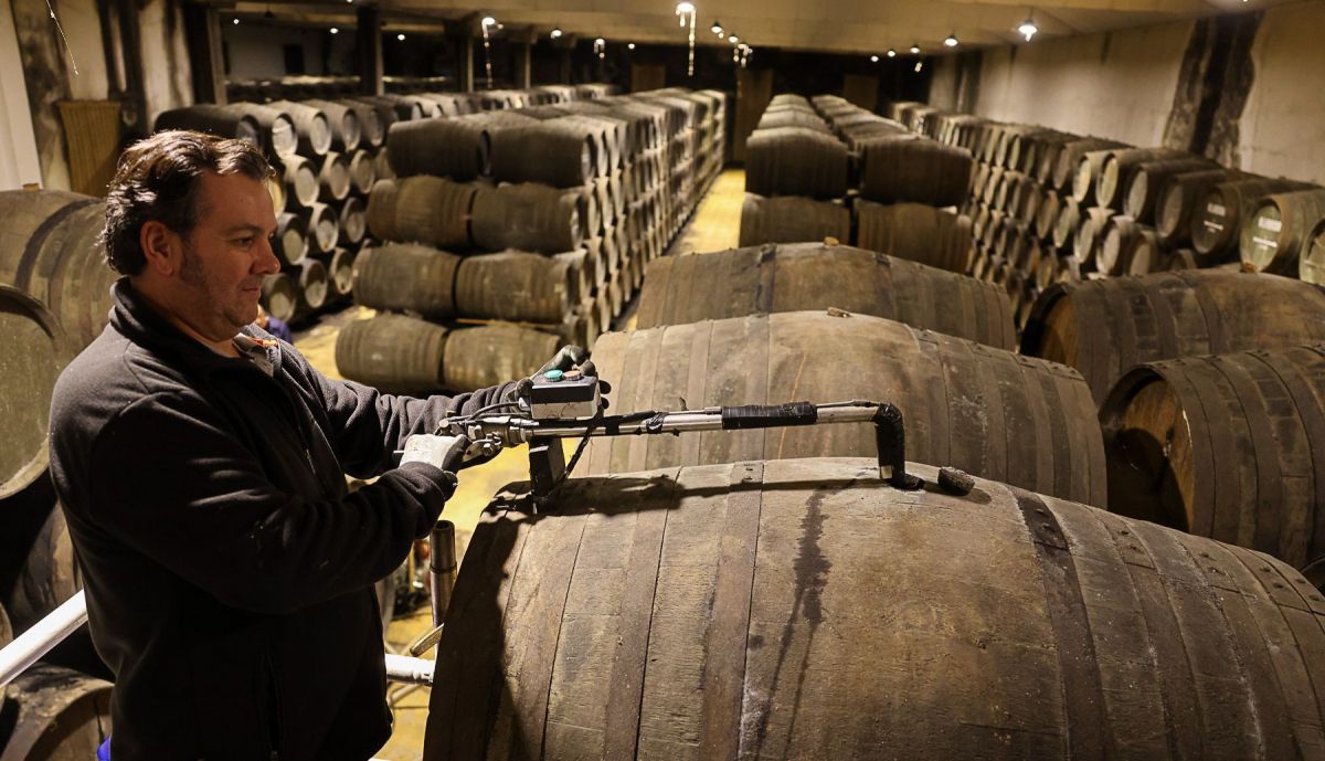 Cooperativa Union viticultores  chiclana  06