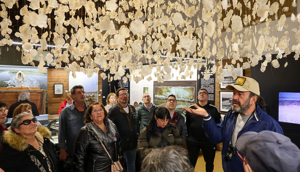 Centro interpretacion Vino y Sal chiclana  15