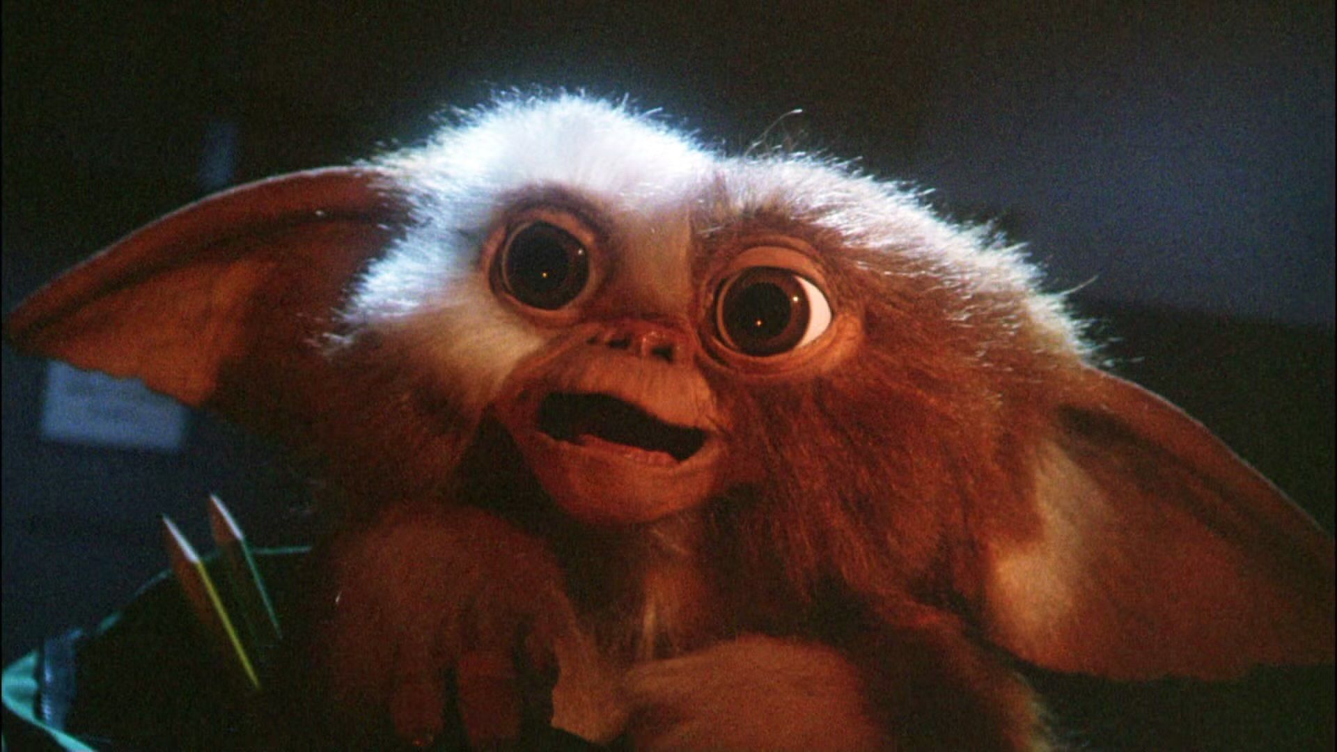 Gizmo, el adorable mogwai de 'Gremlins'. Un clásico de los 80, en pantalla gigante.