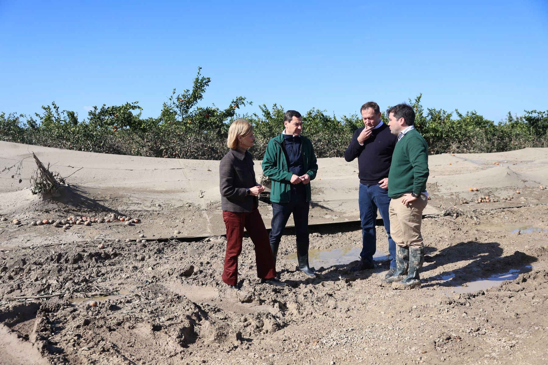 Juanma Moreno, en Jerez, con la alcaldesa, María José García-Pelayo, y el comisario europeo de Agricultura, Christophe Hansen, en una visita a una finca afectada. Juanma Moreno, en Jerez, con la alcaldesa, María José García-Pelayo, y el comisario europeo de Agricultura, Christophe Hansen, en una visita a una finca afectada.