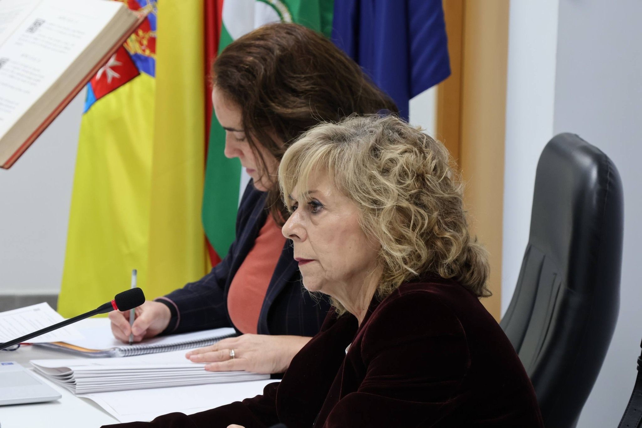 La alcaldesa de San Juan de Aznalfarache, en el pleno este jueves.