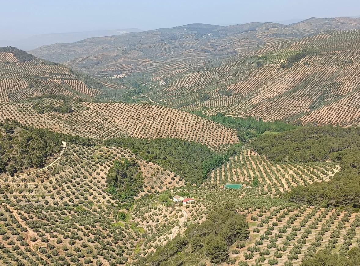 Uno de los paisajes Uno de los paisajes