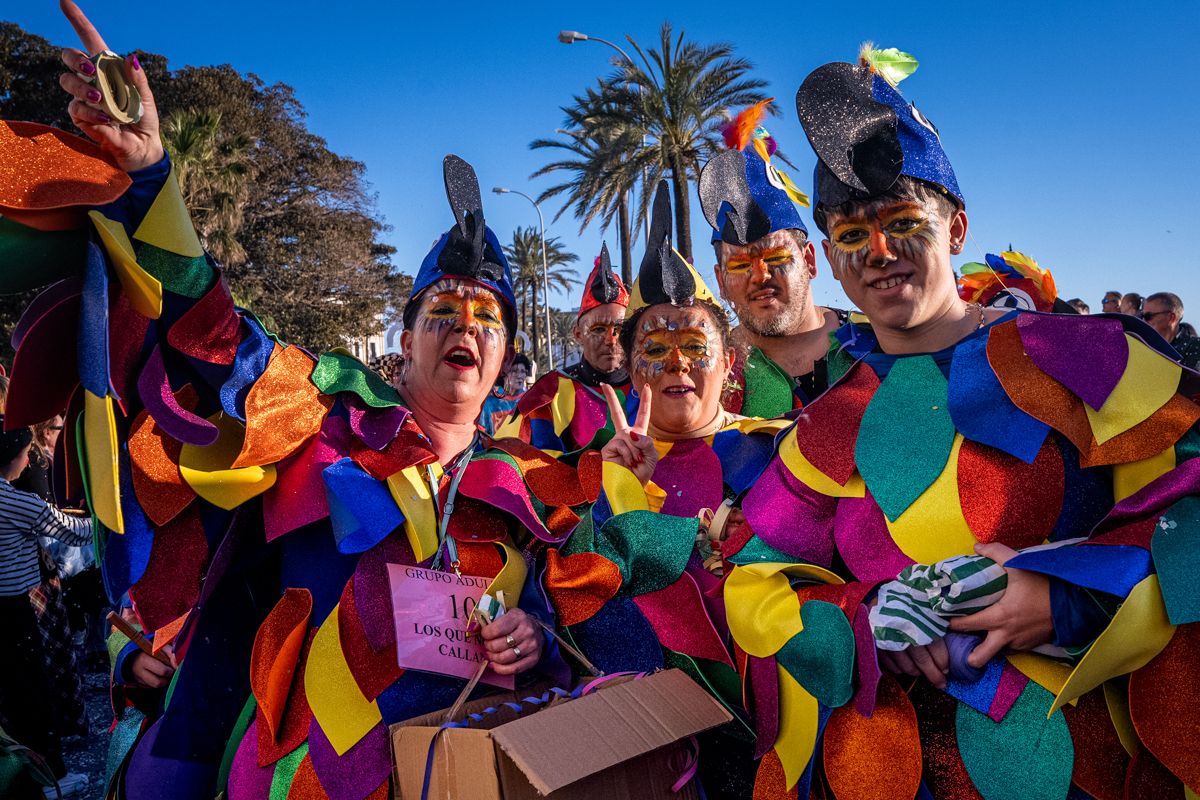 La Cabalgata del Humor del Carnaval de Cádiz 2026, en imágenes