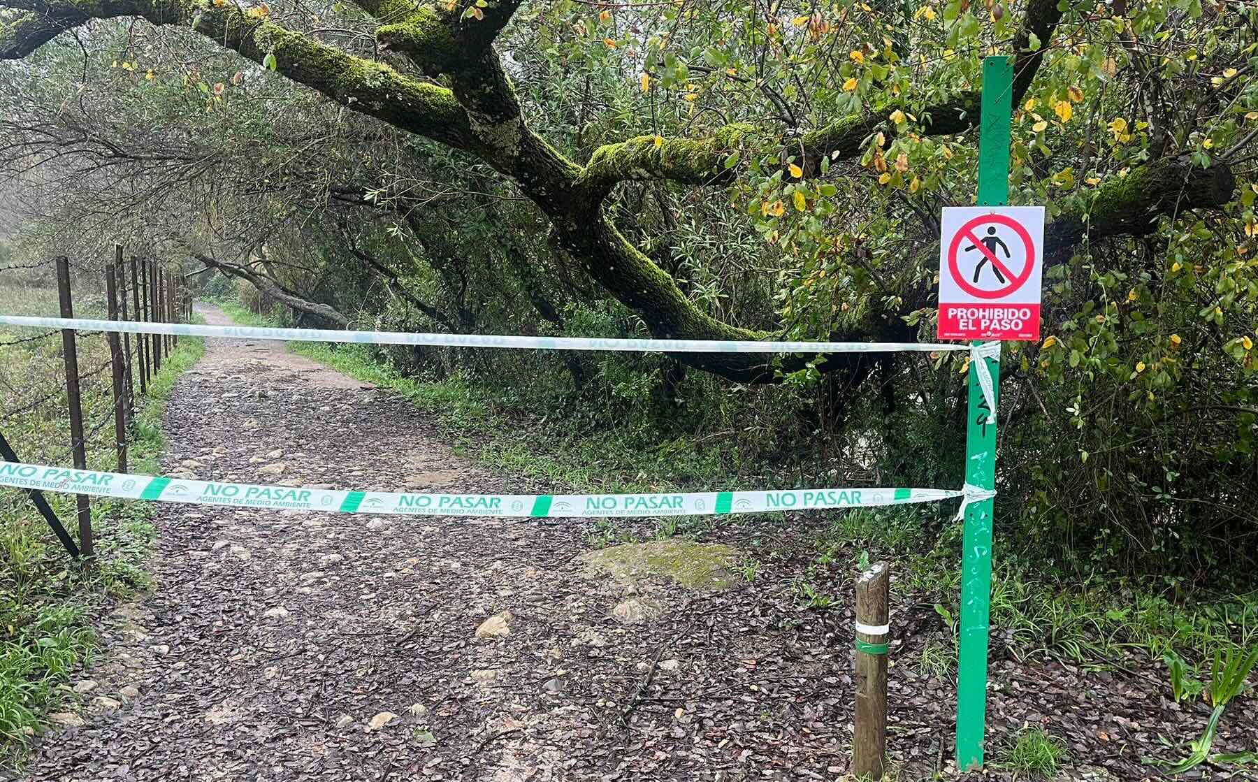 Sendero de El Bosque a Benamahoma, en la Sierra de Cádiz, clausurado por el efecto de las borrascas. Sendero de El Bosque a Benamahoma, en la Sierra de Cádiz, clausurado por el efecto de las borrascas.