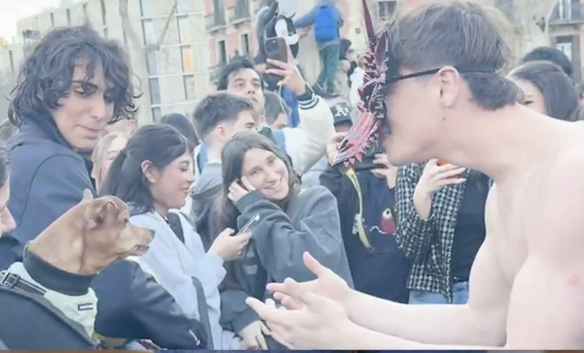 Un 'therian' ladrando a un perro. Un 'therian' ladrando a un perro.