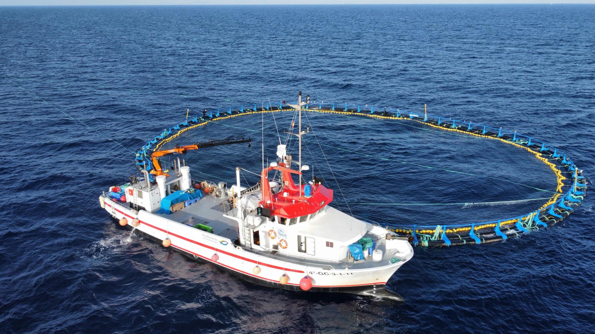 El Grupo Ricardo Fuentes desembarca en San Fernando. El Grupo Ricardo Fuentes desembarca en San Fernando.
