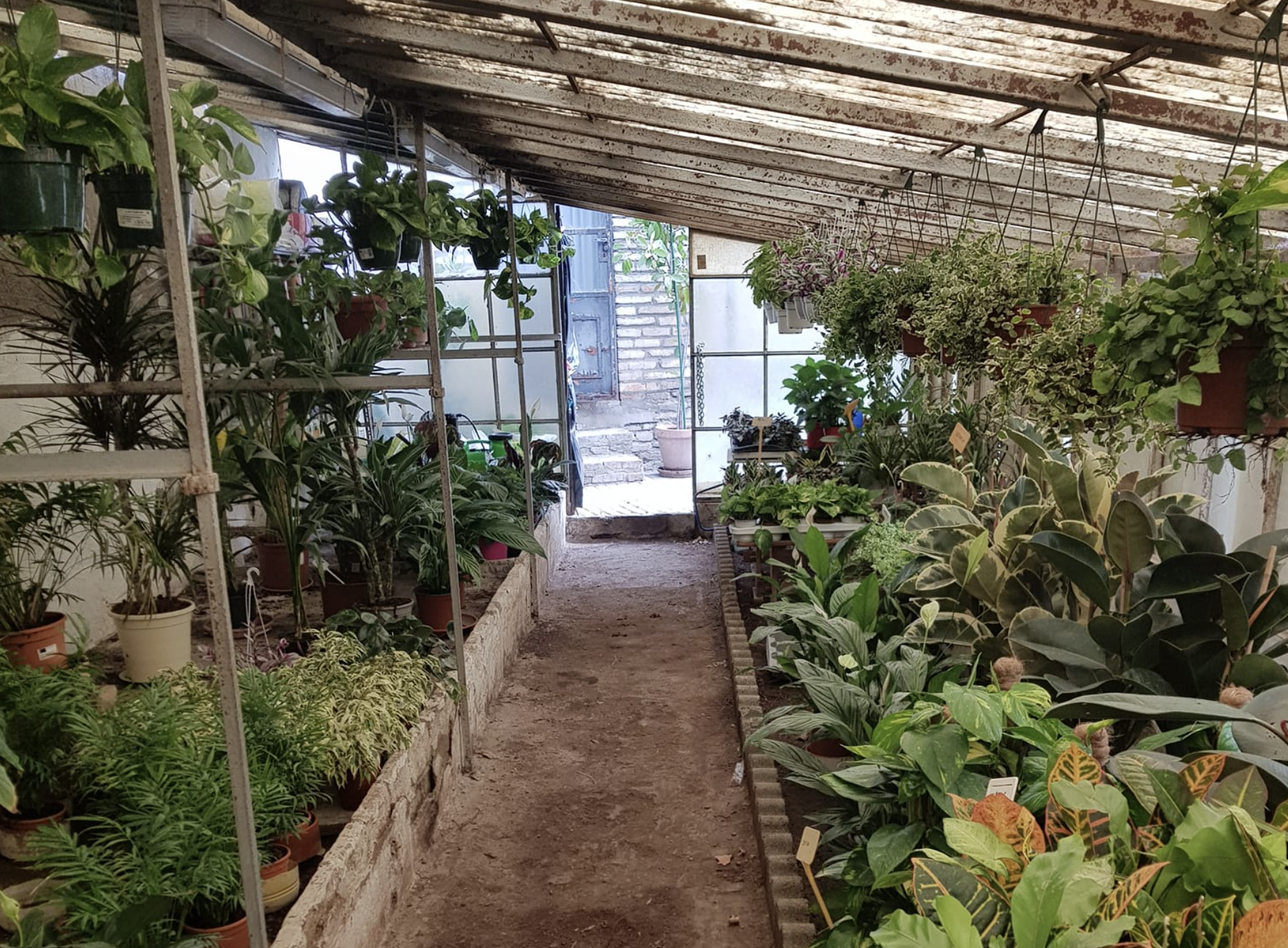 Sujardín, un vivero oculto en las murallas de Sevilla.