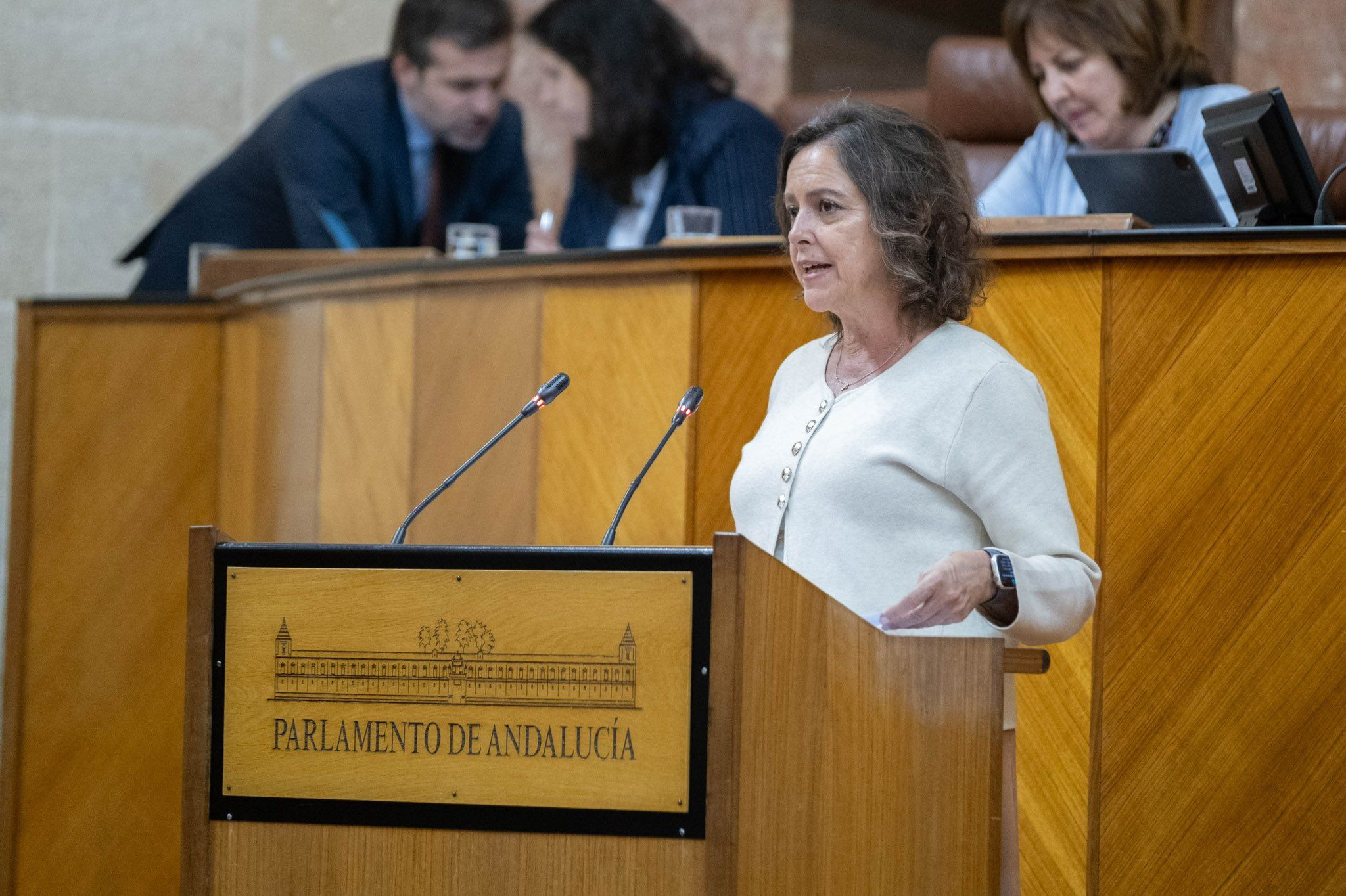 La consejera Catalina García, que defendió ambas leyes en el Parlamento. La consejera Catalina García, que defendió ambas leyes en el Parlamento.