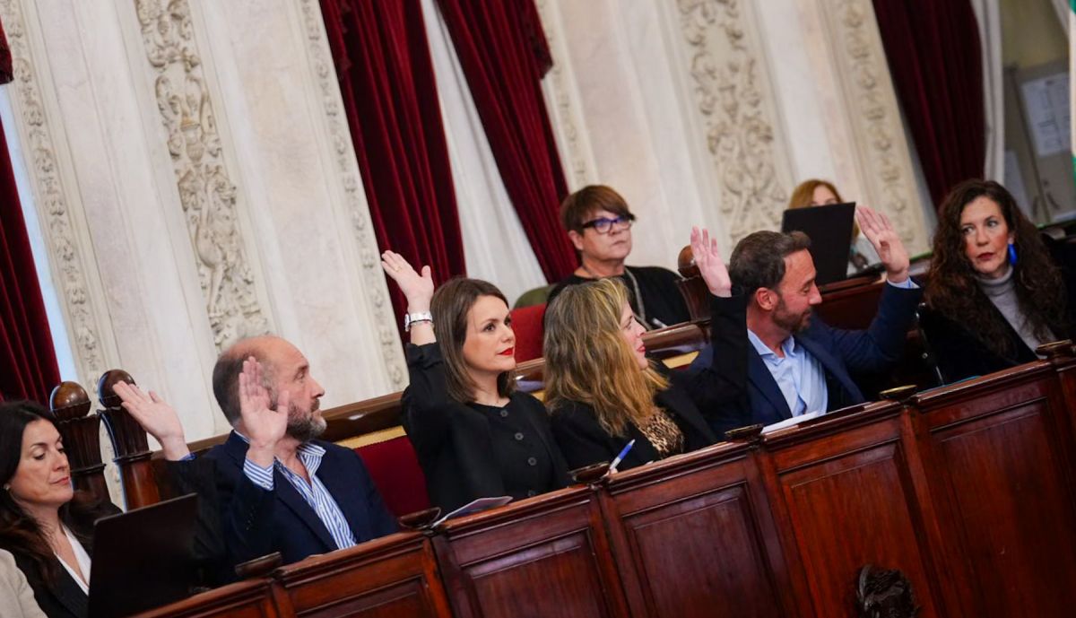 Pleno extraordinario ayuntamiento Cádiz 