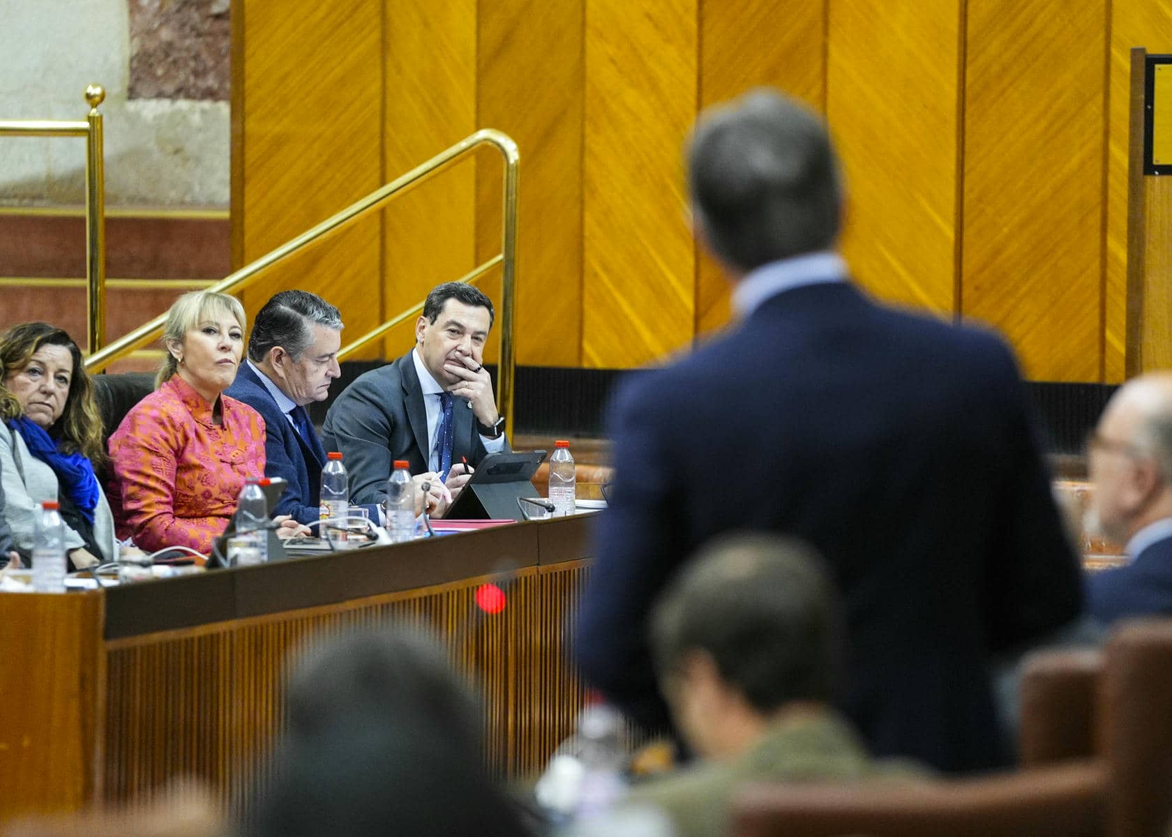 Un momento de la intervención de Manuel Gavira, de Vox, ante Juanma Moreno. Un momento de la intervención de Manuel Gavira, de Vox, ante Juanma Moreno.