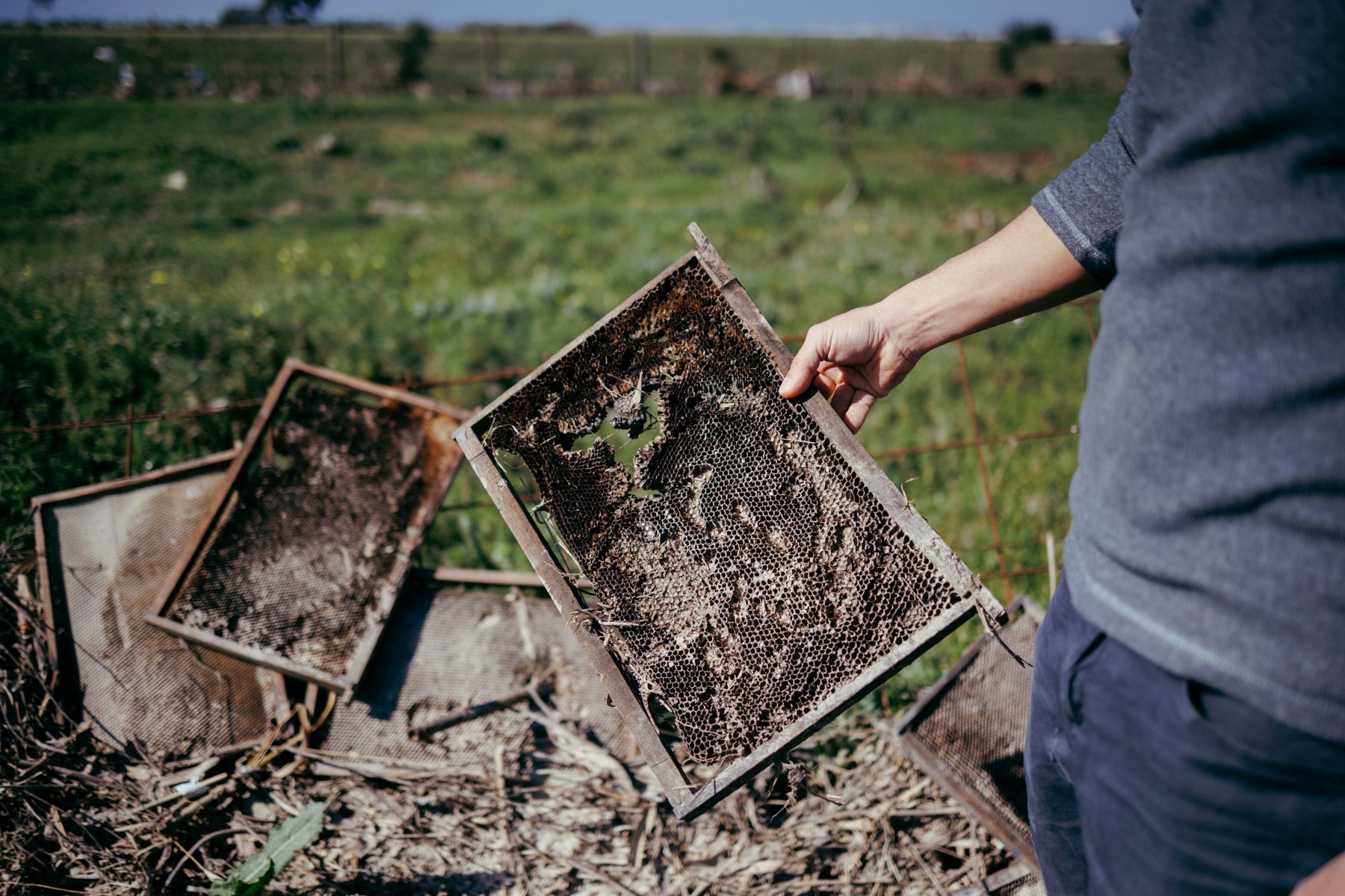 Una explotación de miel en El Puerto con todo destrozado por los temporales.