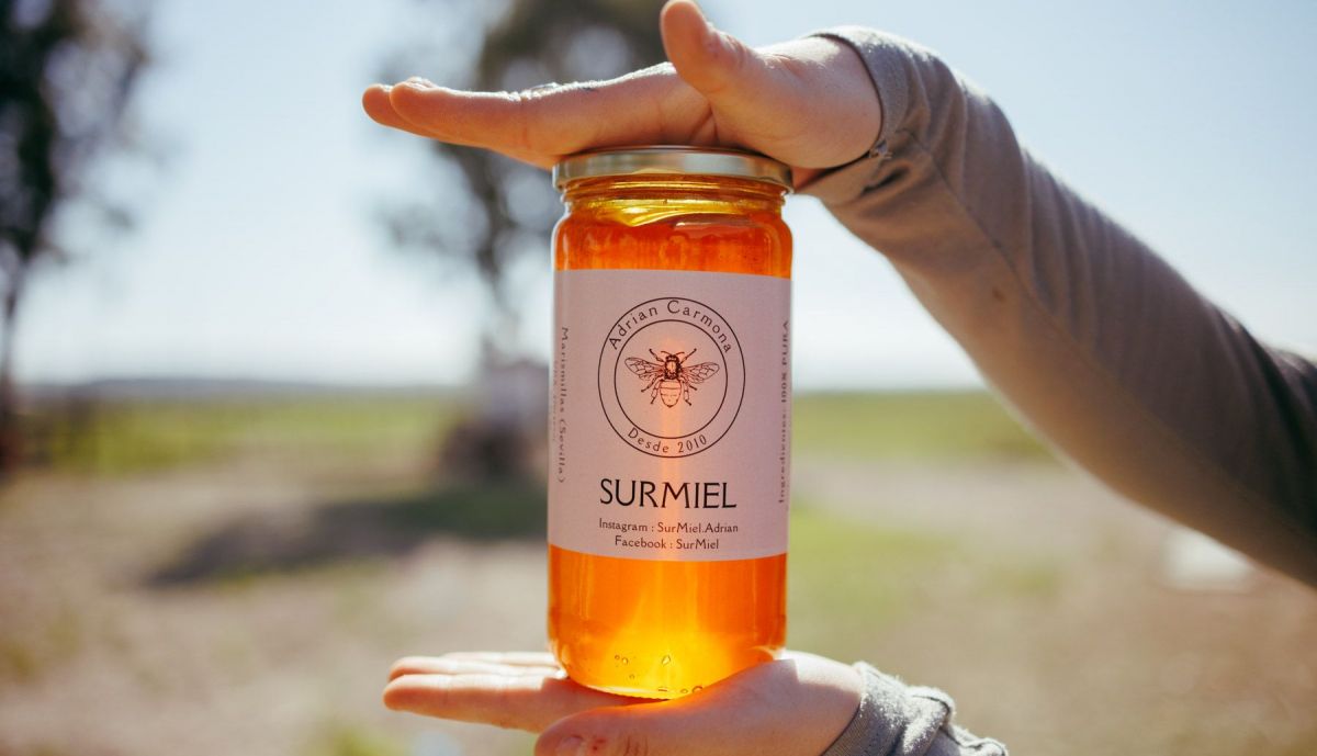 SURMIEL PANALES DE ABEJAS LLUVIA  17