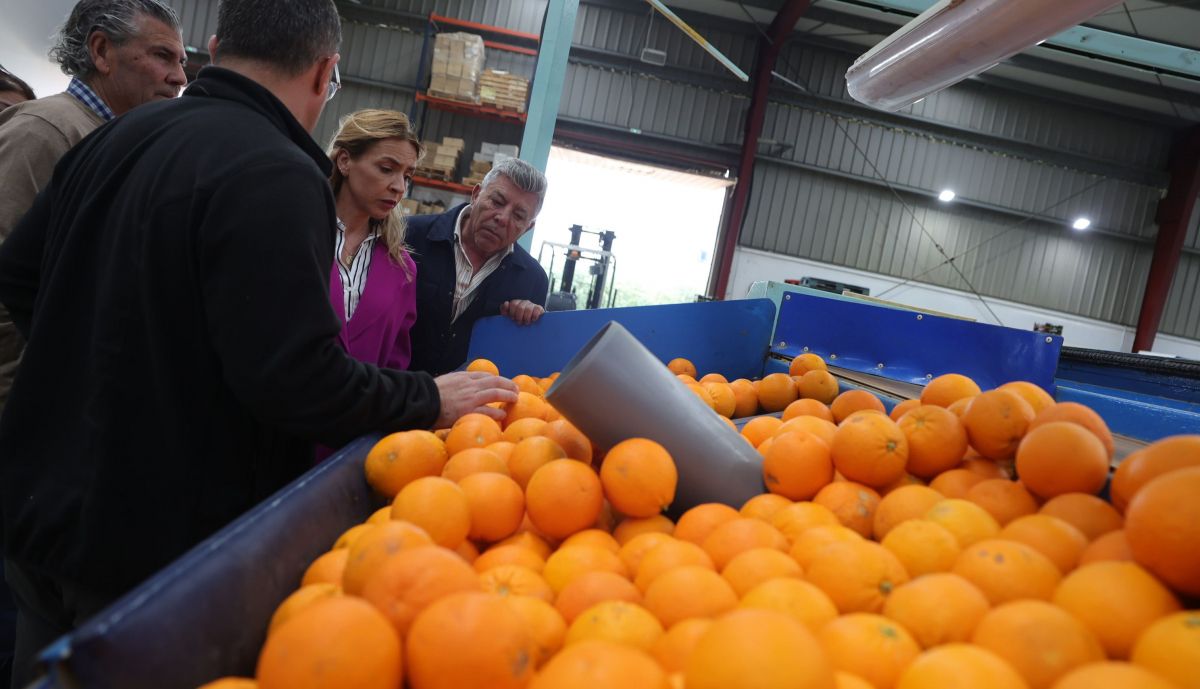 San Martín del Tesorillo