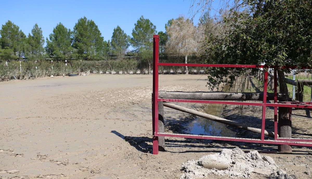 MJose denuncia Jose Antonio Diaz 3