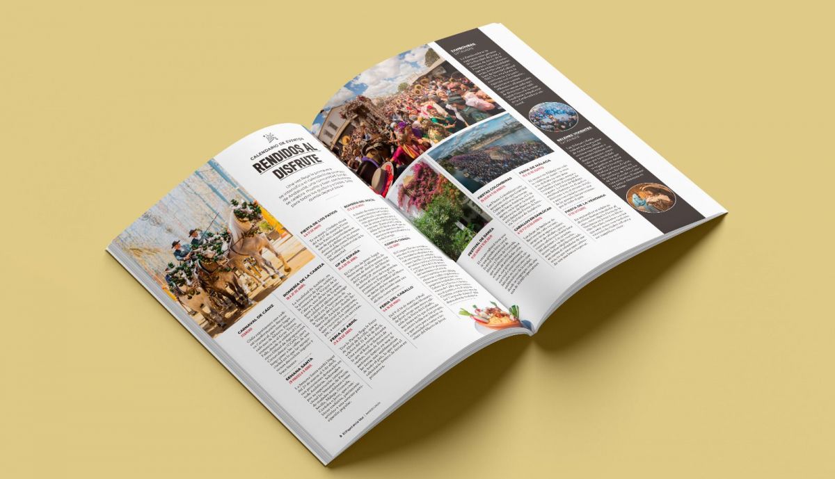 WhatsApp Image 2026 02 27 at 09.13.49