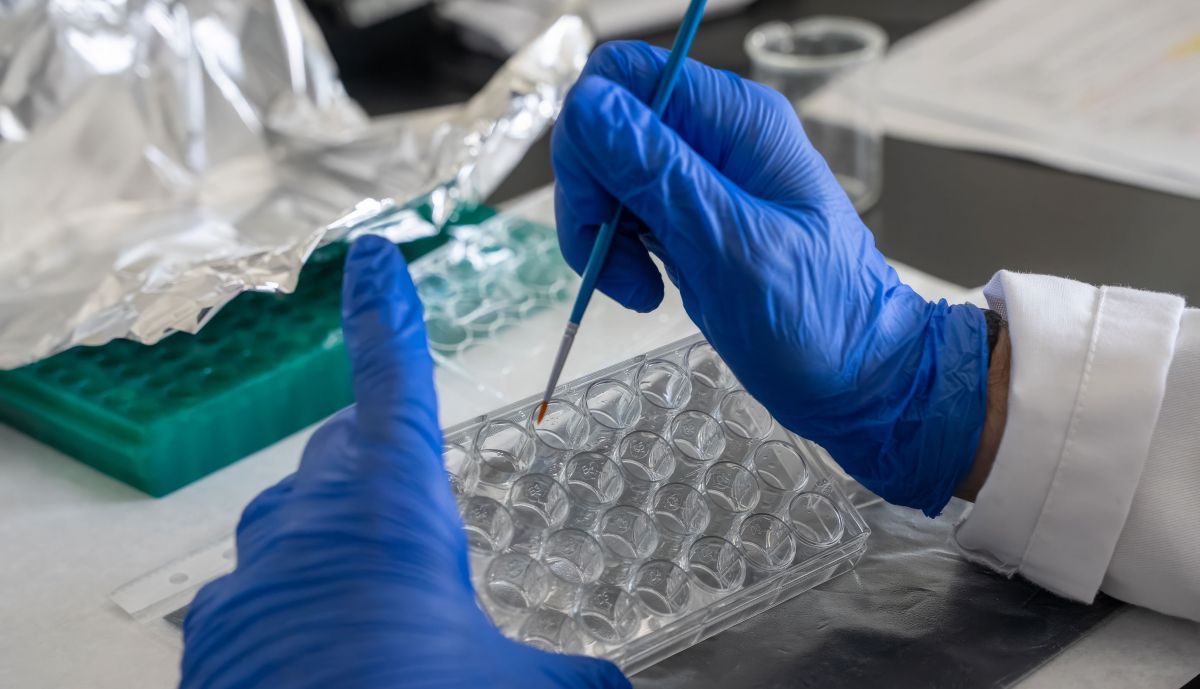 Esther Berrocos, Faculta de Medicina Cádiz Catedrática del área de Psicobiología