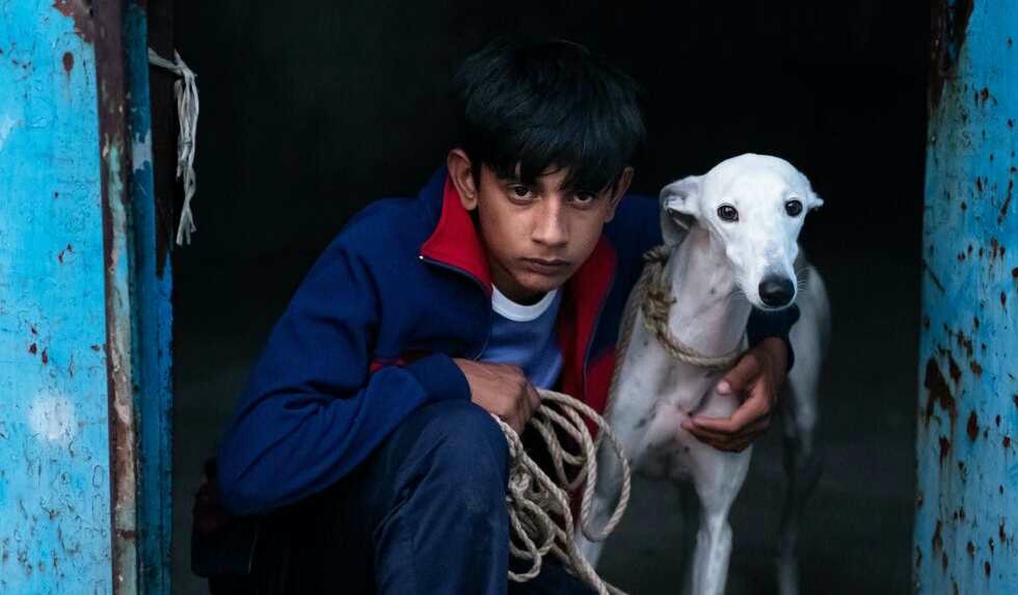 Toni Fernández, actor revelación con solo 17 años 