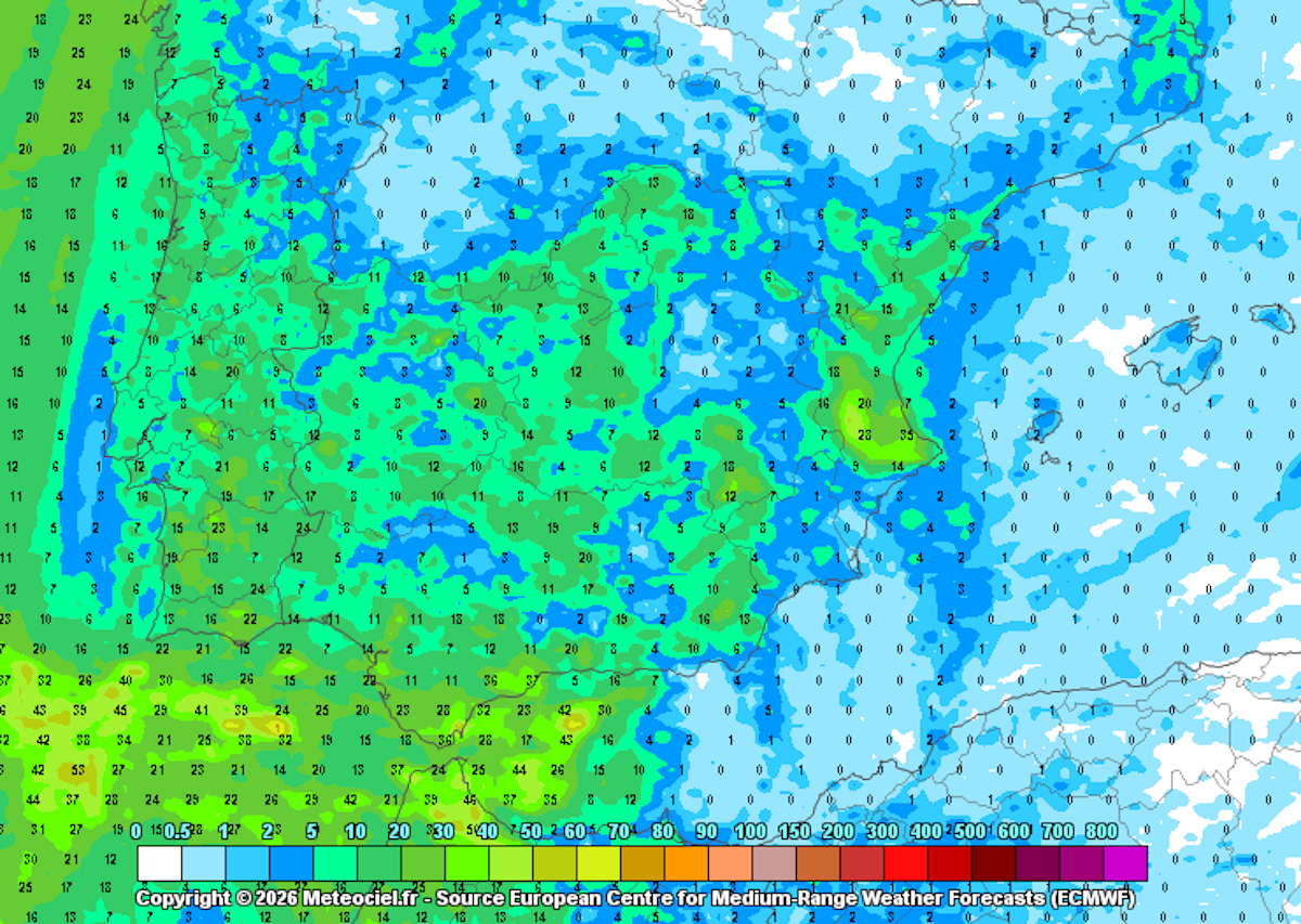 Mapa del modelo meteorológico ECMWF mostrando la previsión de lluvias por la DANA en Andalucía para la primera semana de marzo.