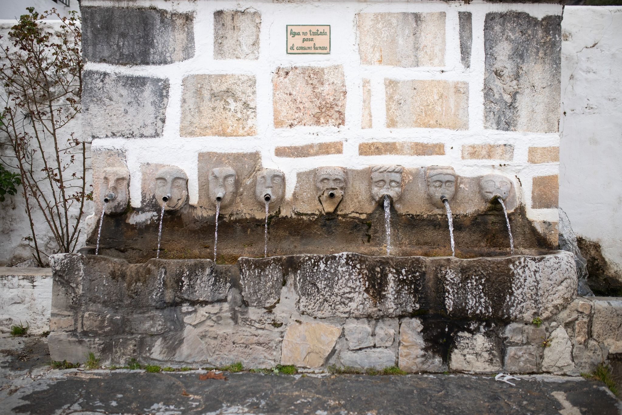 La Fuente de Abajo de Grazalema.