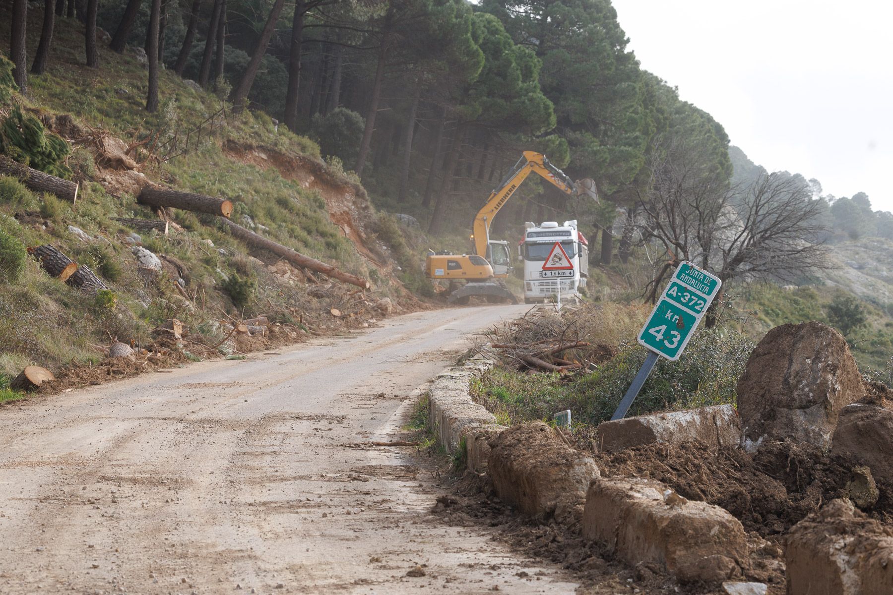 La carretera que conecta Grazalema con Benamahoma, tras el tren de borrascas.