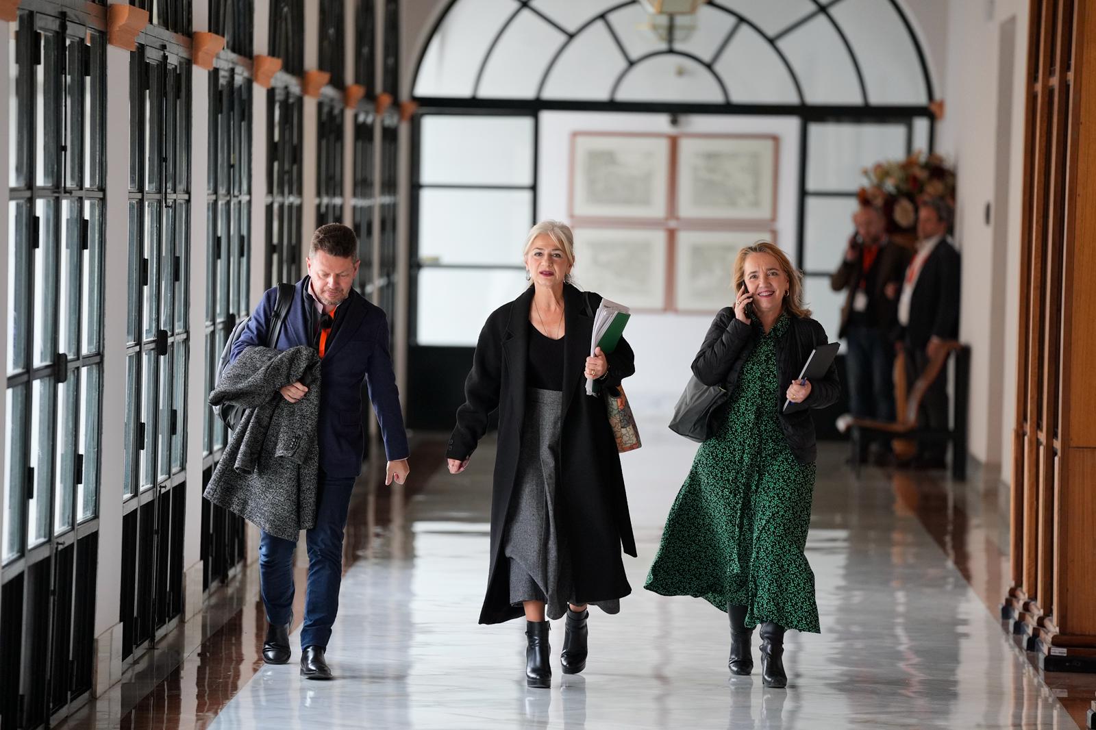 La consejera de Cultura, Patricia del Pozo, este martes en el Parlamento.