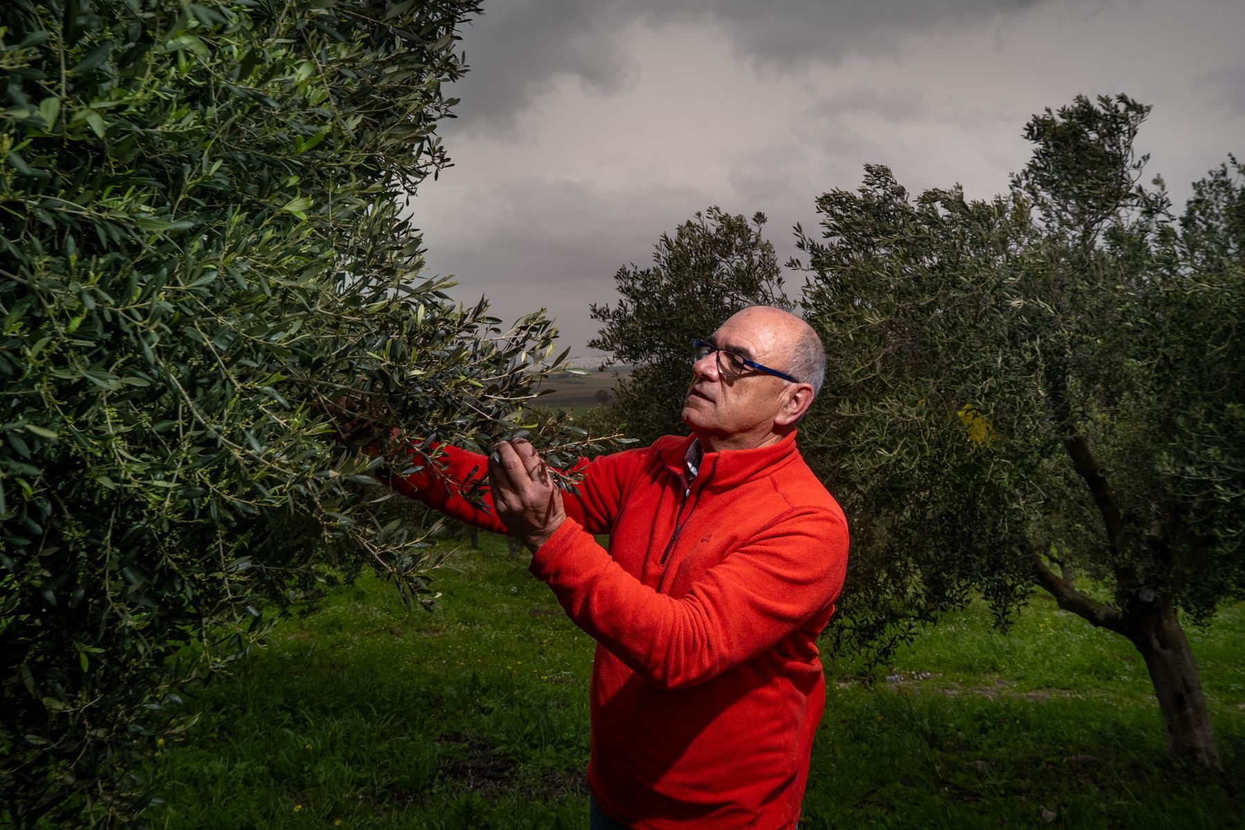 Lola Caro Mare Oleum almazara y centro de interpretación.