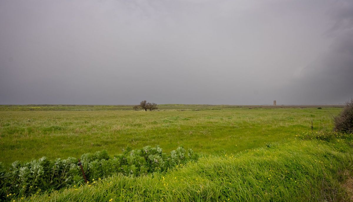 Asociación vecinos El Palmar Quejas por grave situación en la que se encuentra esta pedanía tras el temporal