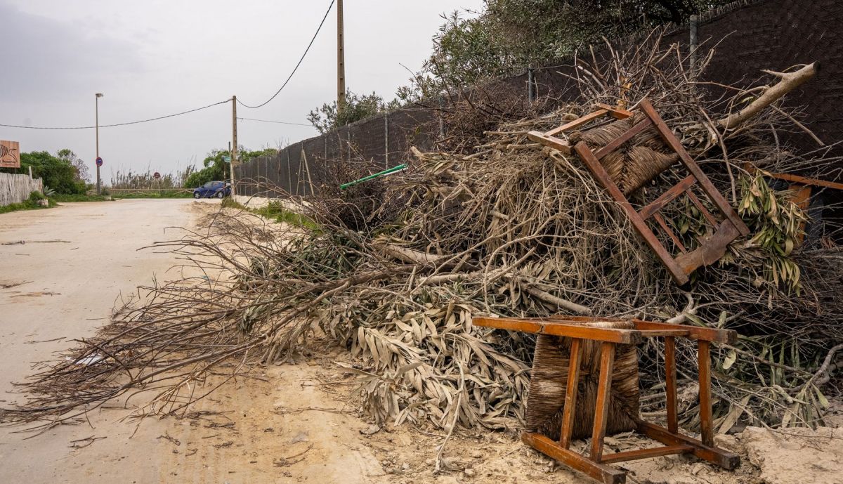 Asociación vecinos El Palmar Quejas por grave situación en la que se encuentra esta pedanía tras el temporal