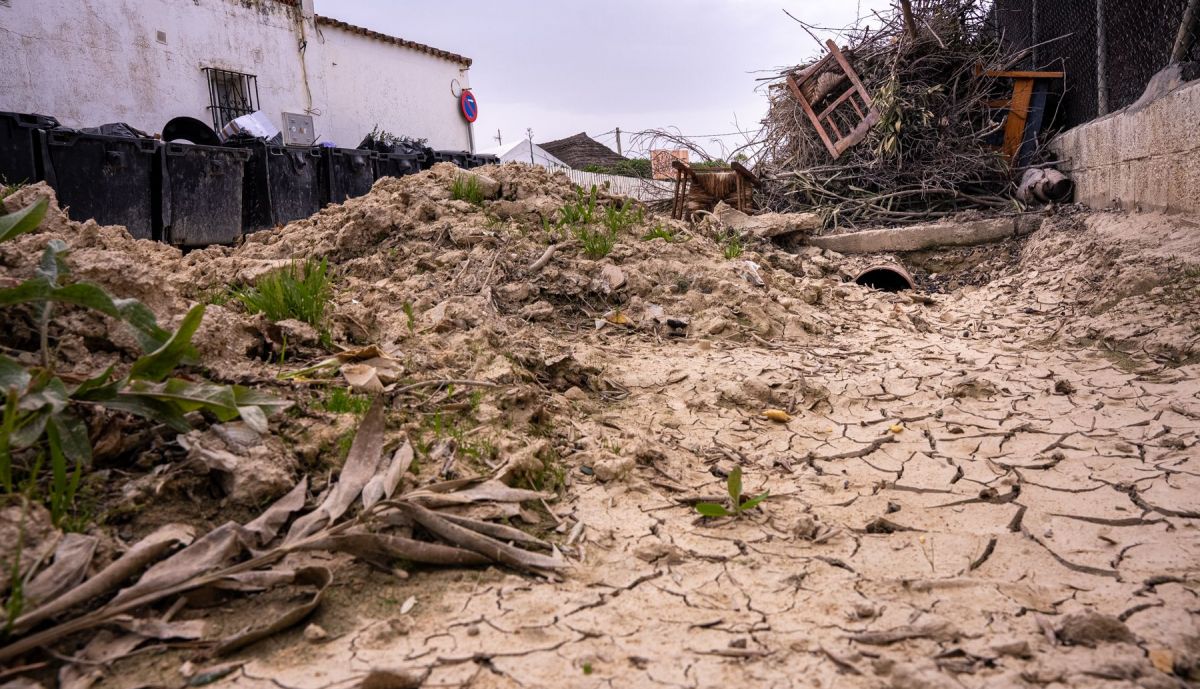 Asociación vecinos El Palmar Quejas por grave situación en la que se encuentra esta pedanía tras el temporal
