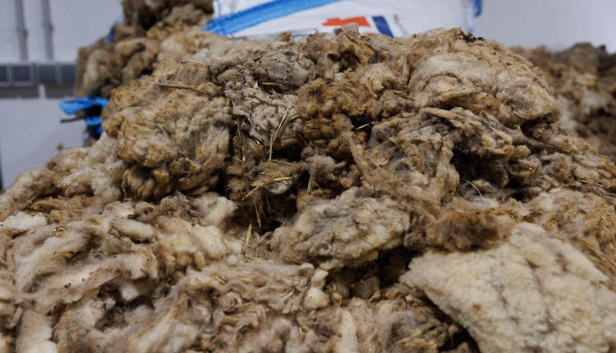 Fabrica Pellet Grazalema LanoPellet 