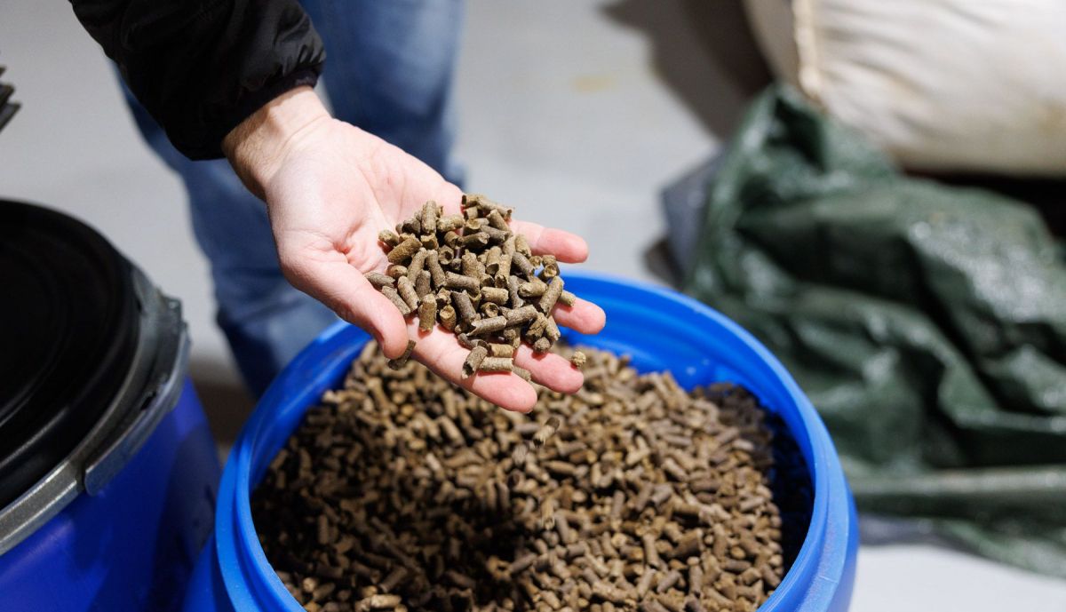 Fabrica Pellet Grazalema LanoPellet 