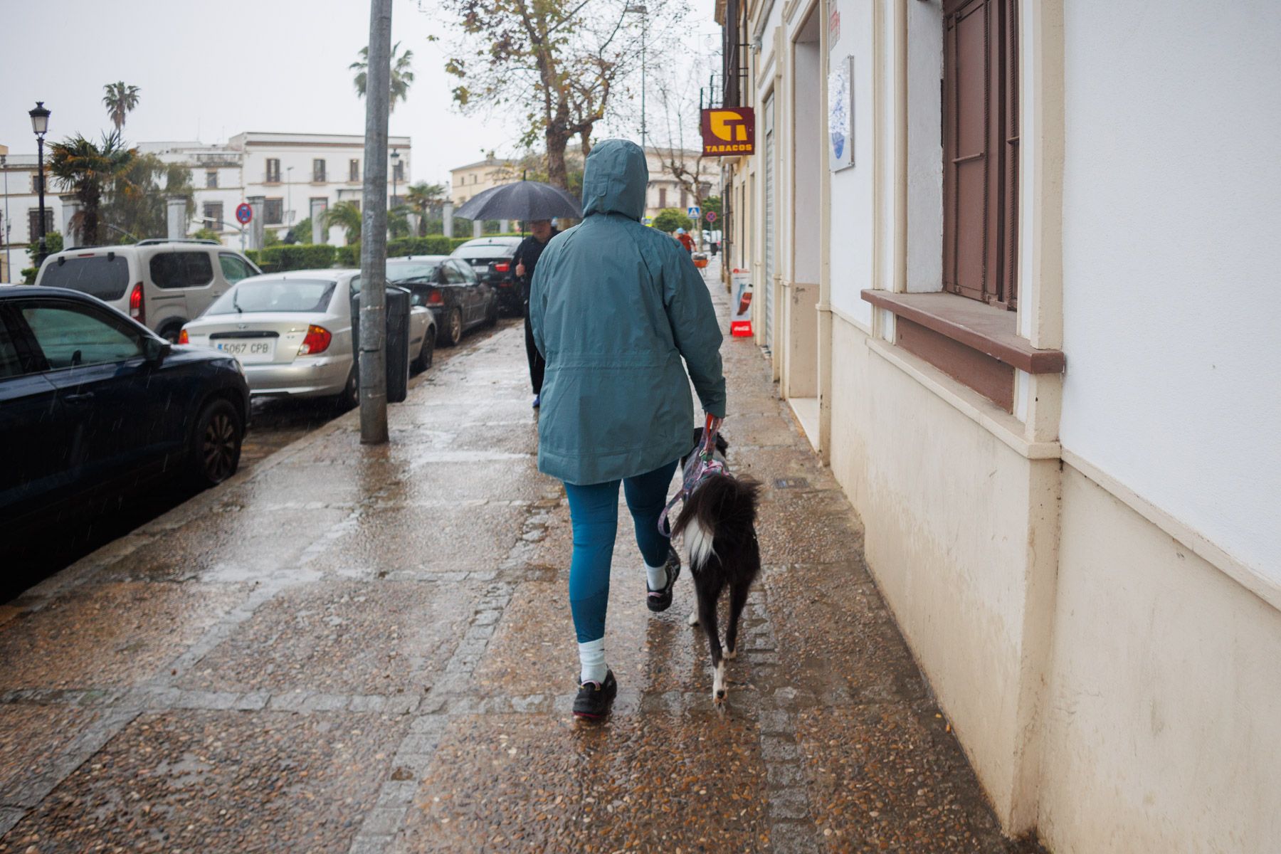 Un día de lluvia durante este mes de marzo. Un día de lluvia durante este mes de marzo.