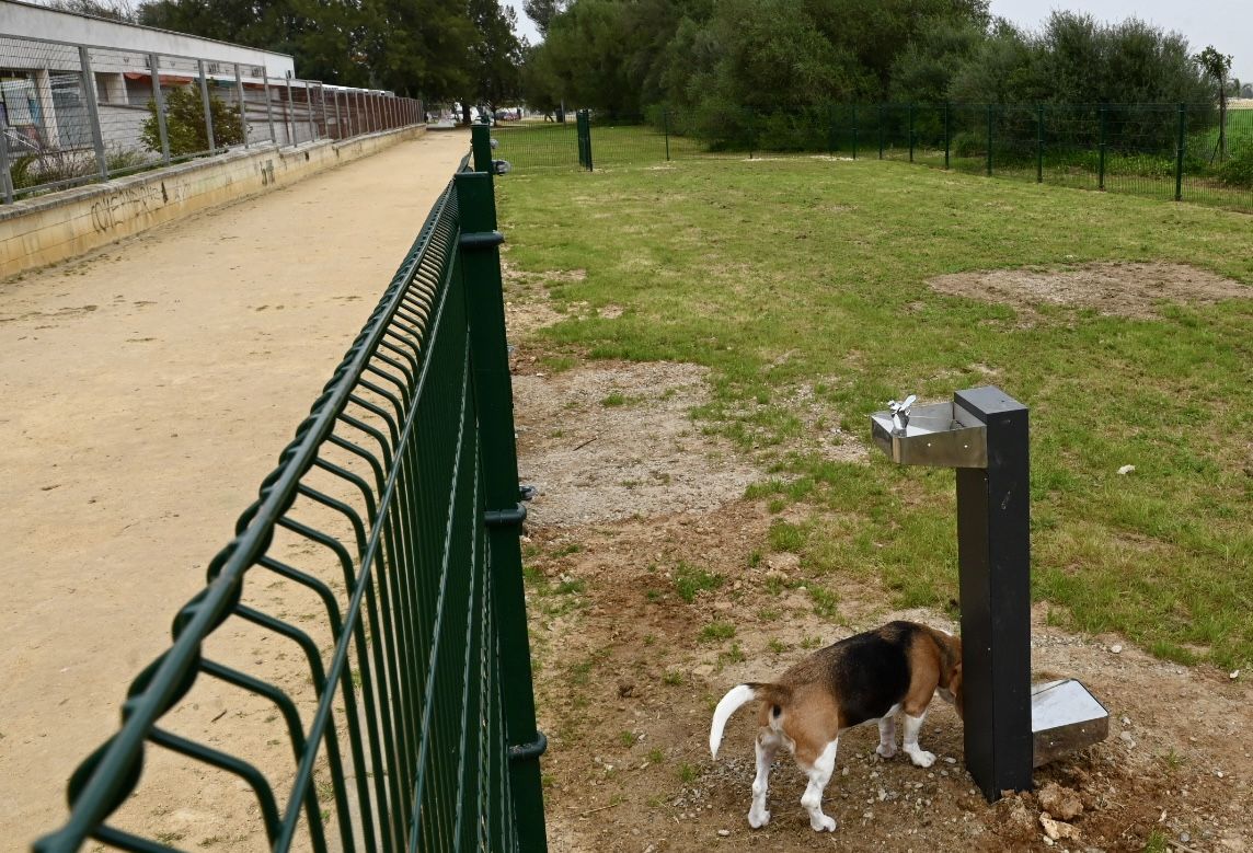 Jerez suma un nuevo parque de esparcimiento canino: casi 800 metros cuadrados.