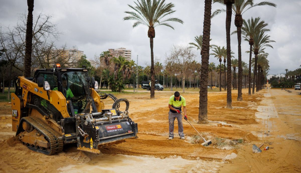ALBERO FERIA JEREZ 3