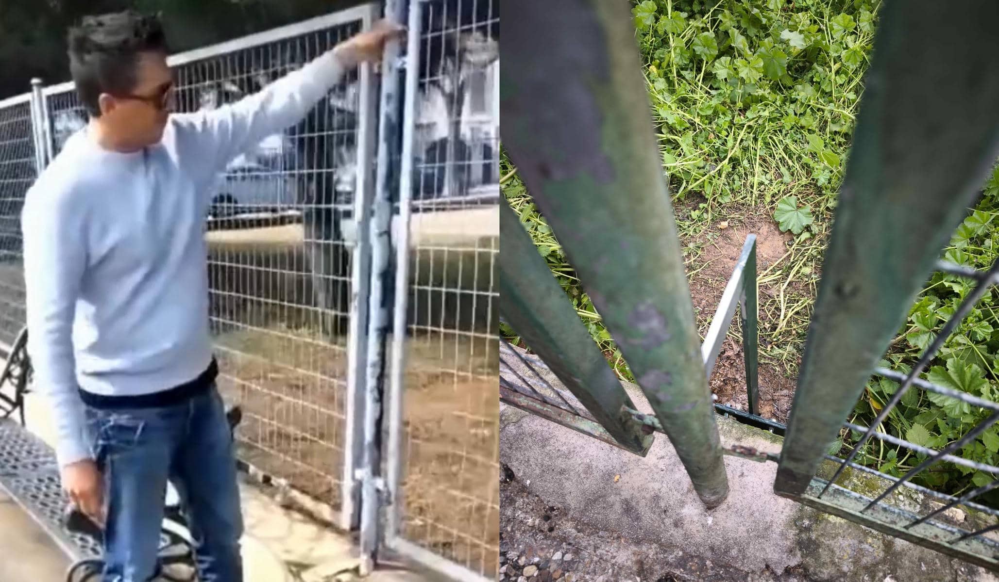 El vallado del CEIP Arana Beato.