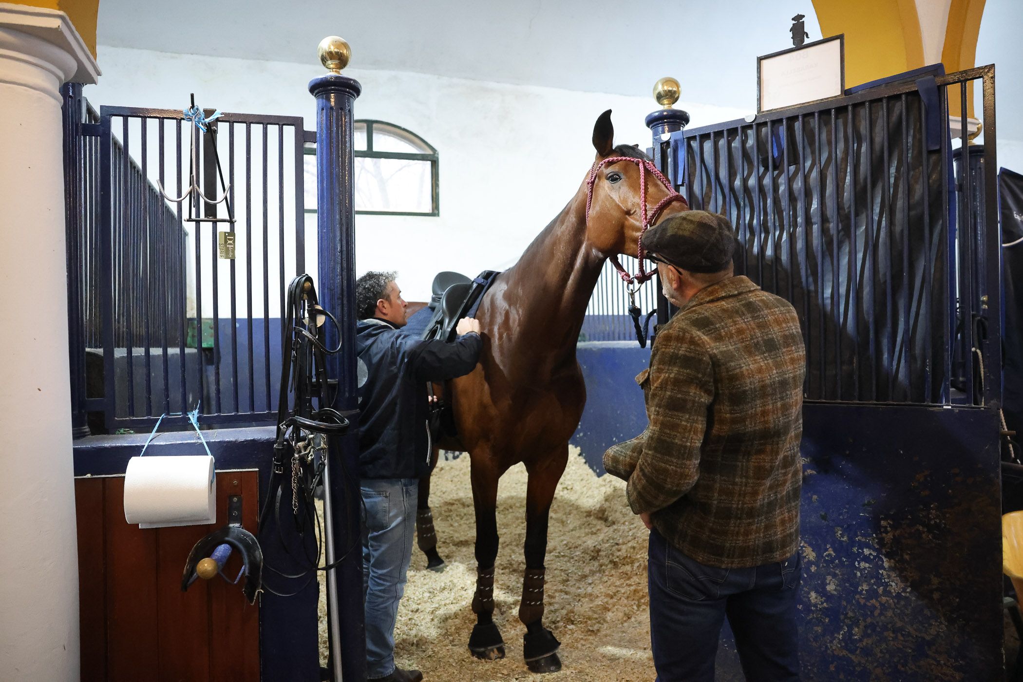 Doma clásica en la Real Escuela Ecuestre de Jerez.