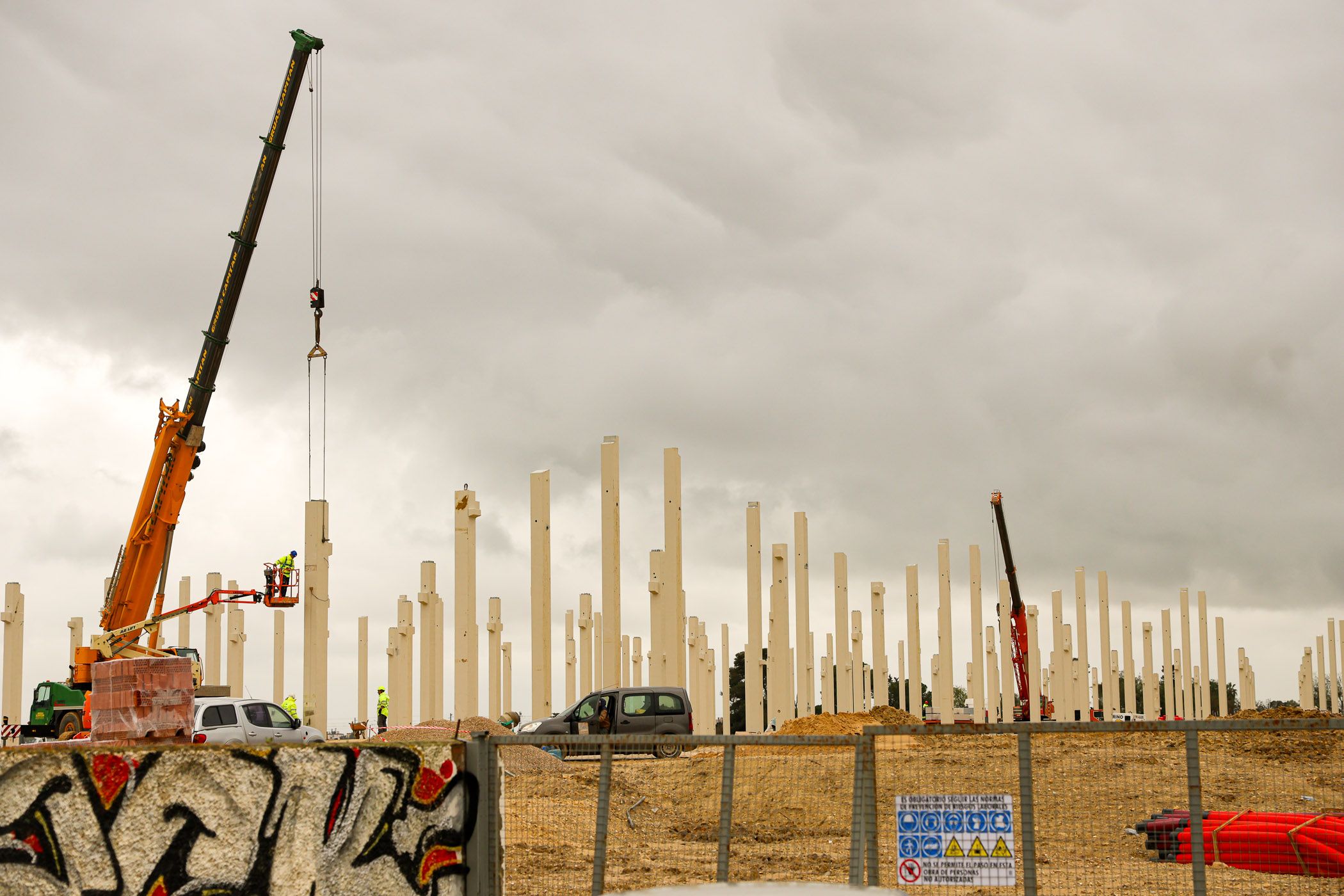 Casi tres años después, por fin comienza a ver la luz el proyecto de The Macallan y Grupo Estévez en Guadalcacín.