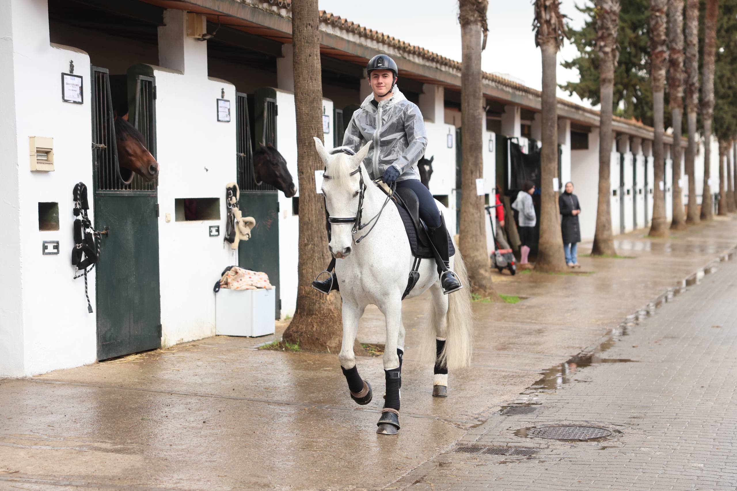 Real Escuela Concurso Doma 2026 (6)