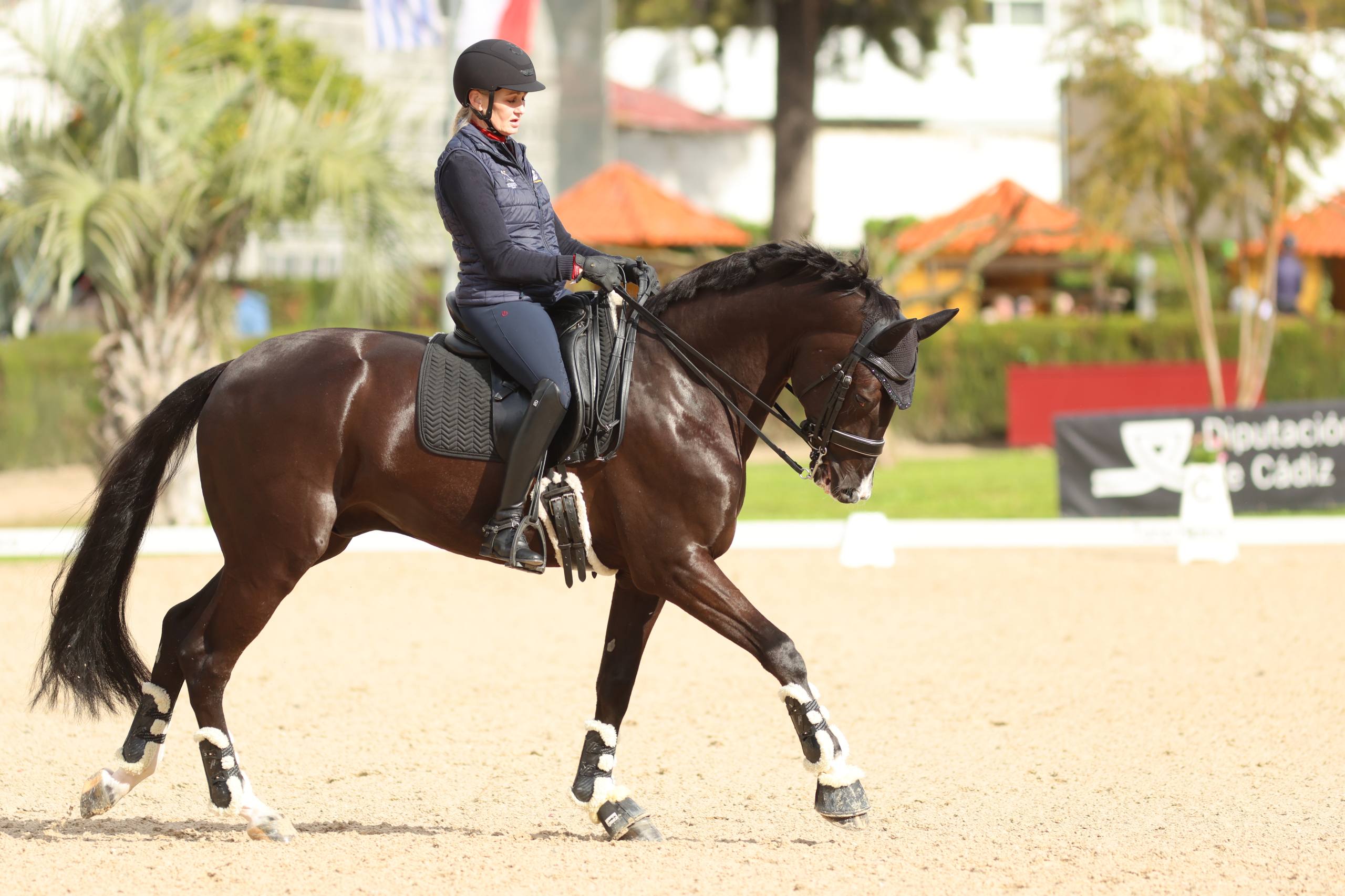 La elegante presencia en la arena.