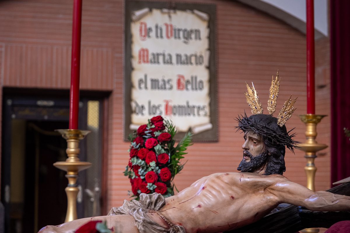 El titular de la hermandad viñera, en veneración. 