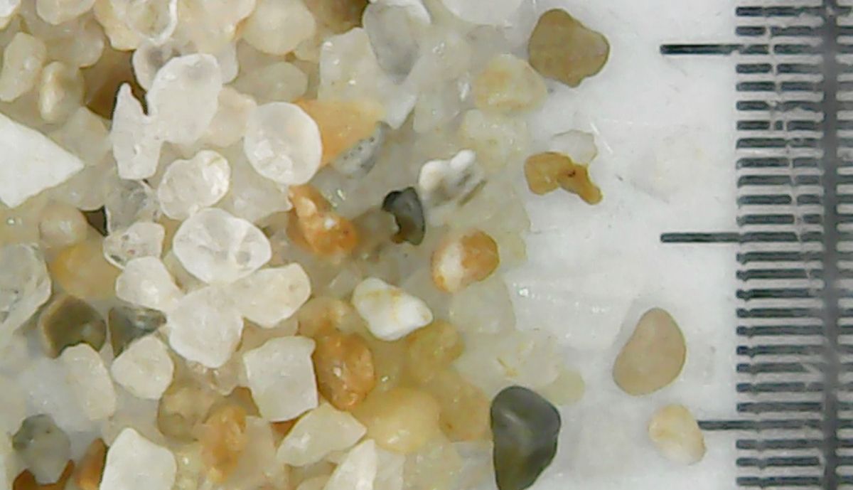 Medición de los sedimentos.