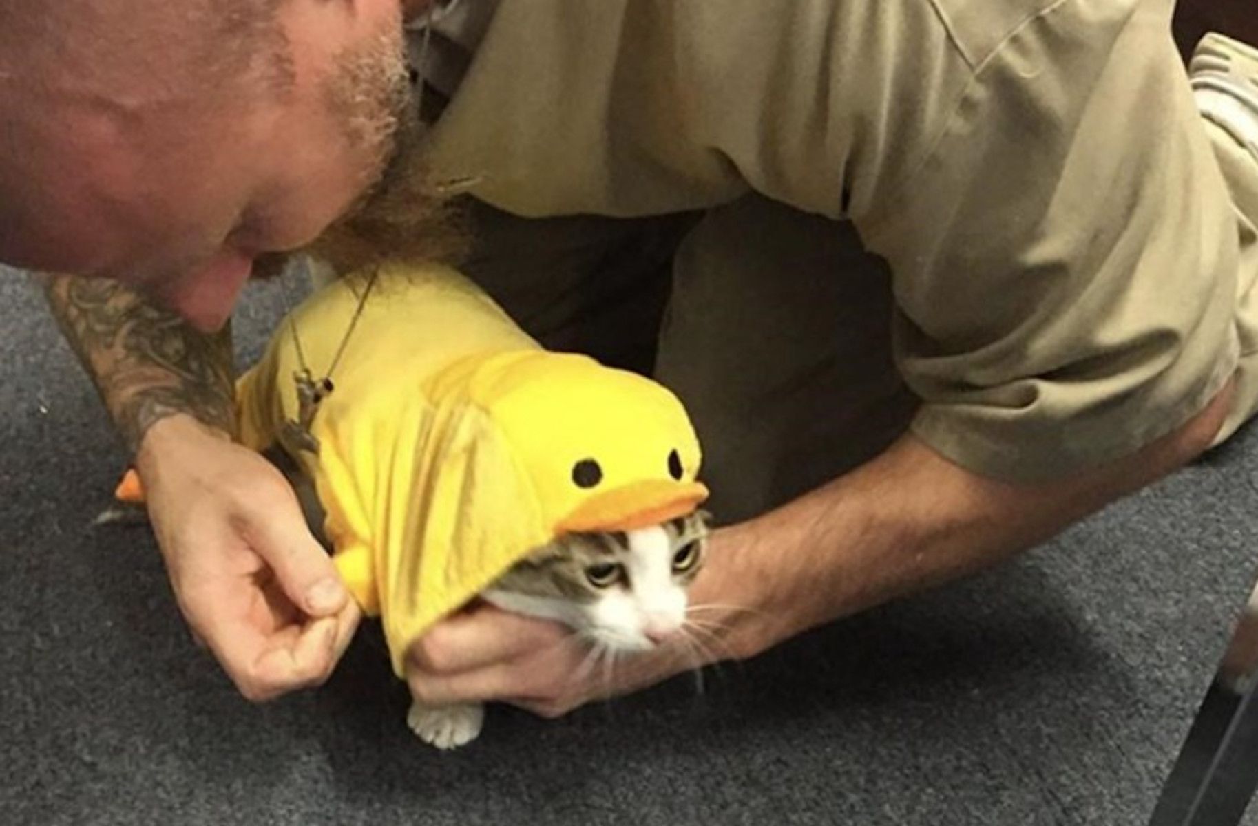 Un preso cuidando a un gato en una prisión en una imagen de 'Indystar'.