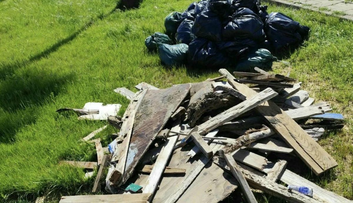 Parte de la basura recogida en Puerto Real.