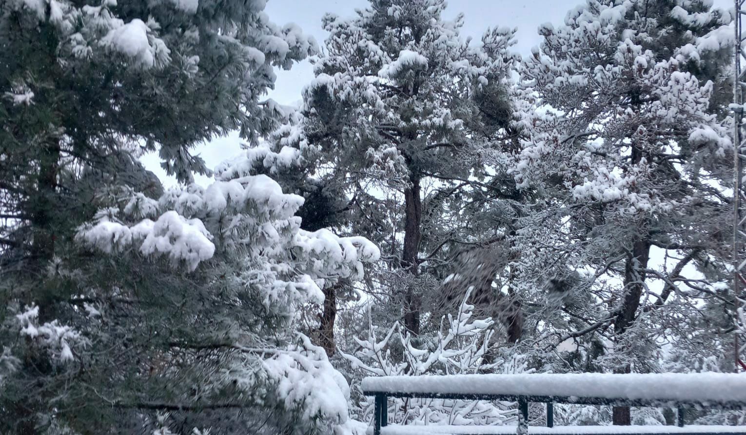 Nevada en la provincia de Jaén, este martes.