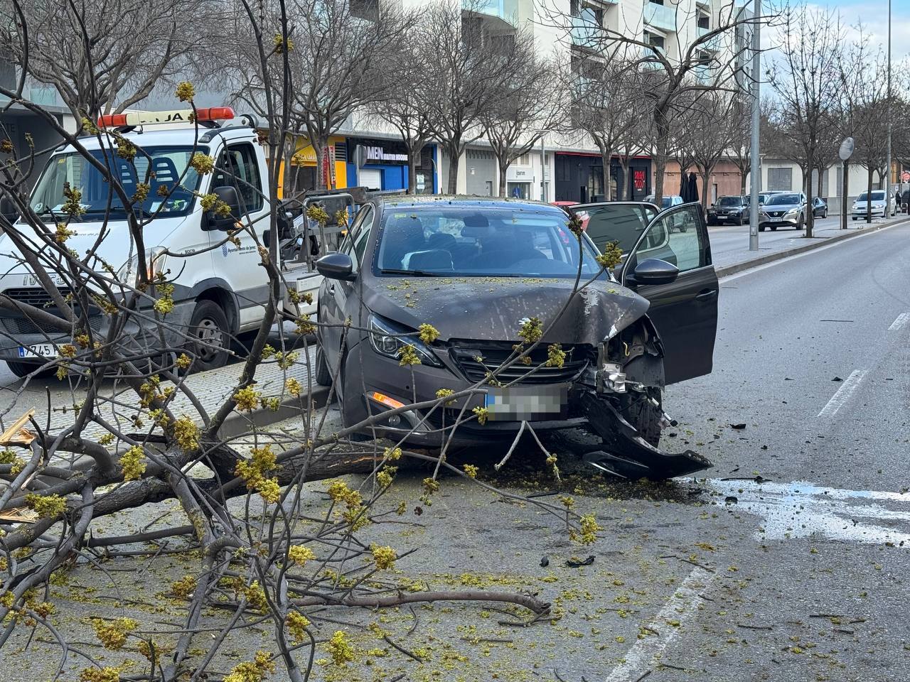 El coche accidentado en la avenida José Manuel Caballero Bonald de Jerez.